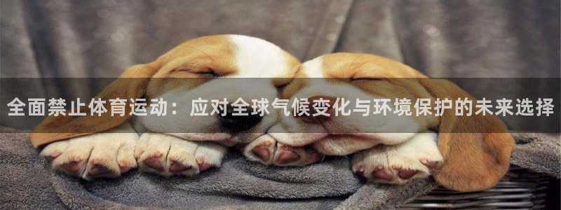全面禁止体育运动：应对全球气候变化与环境保护的未来选择