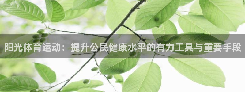 阳光体育运动：提升公民健康水平的有力工具与重要手段