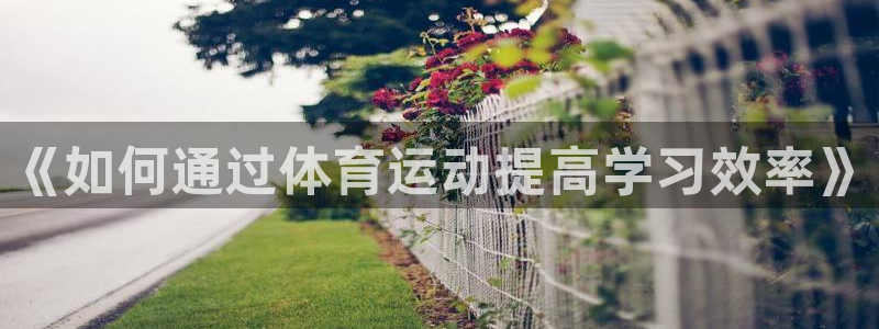 《如何通过体育运动提高学习效率》
