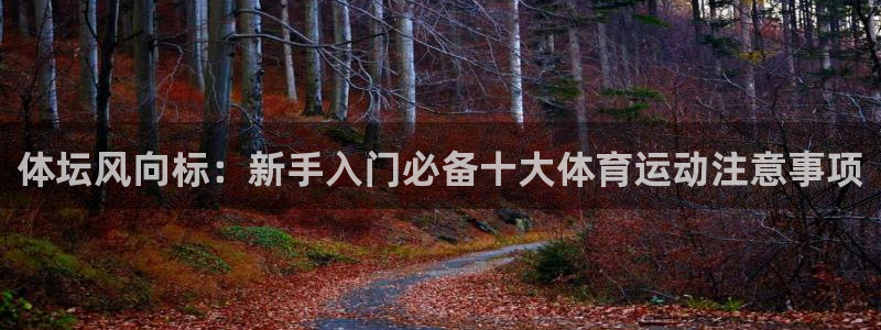 体坛风向标：新手入门必备十大体育运动注意事项