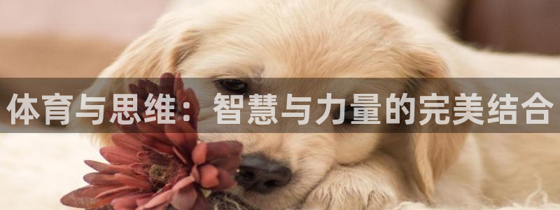 体育与思维：智慧与力量的完美结合