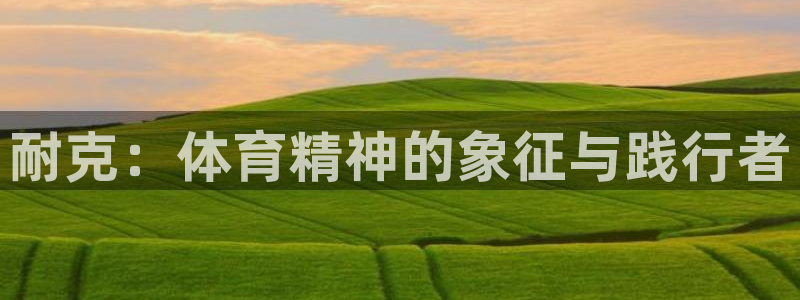 耐克：体育精神的象征与践行者